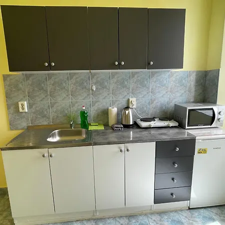 Dejan 3-free Parking Near Arena In Center, Near Bus, Train, Ferry, Airport Shuttle Apartment Pula