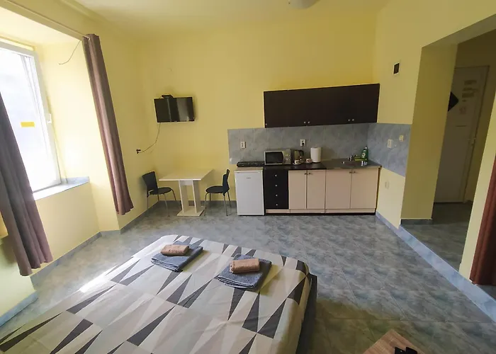 Dejan 3-free Parking Near Arena In Center, Near Bus, Train, Ferry, Airport Shuttle Pula