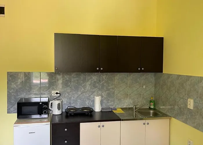 Dejan 3-free Parking Near Arena In Center, Near Bus, Train, Ferry, Airport Shuttle *