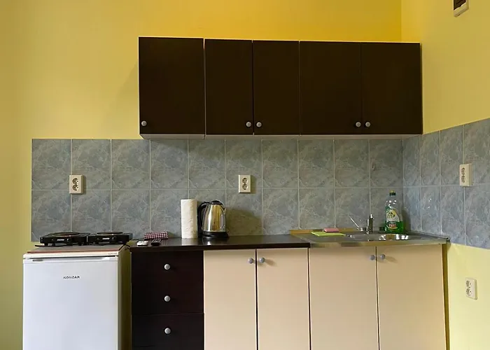 Dejan 3-free Parking Near Arena In Center, Near Bus, Train, Ferry, Airport Shuttle Apartment *