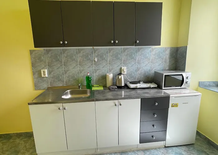 Dejan 3-free Parking Near Arena In Center, Near Bus, Train, Ferry, Airport Shuttle Apartment Pula